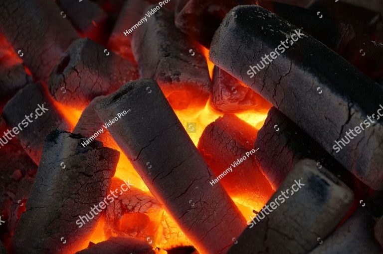 Why Moisture Content Matters in Firewood